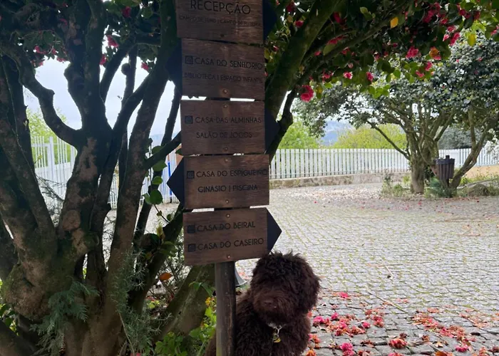 Casas Do Souto Casa rural